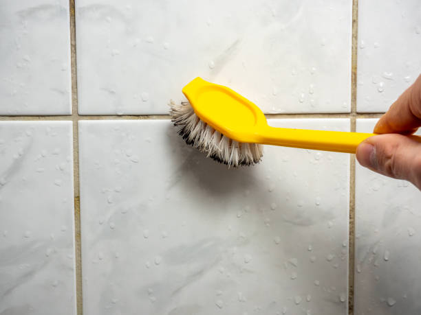 Best Certified Mold Removal  in Estancia, NM