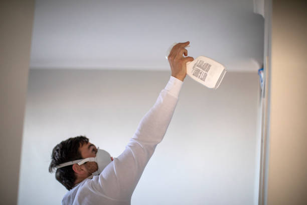 Best Best Mold Removal Companies  in Estancia, NM