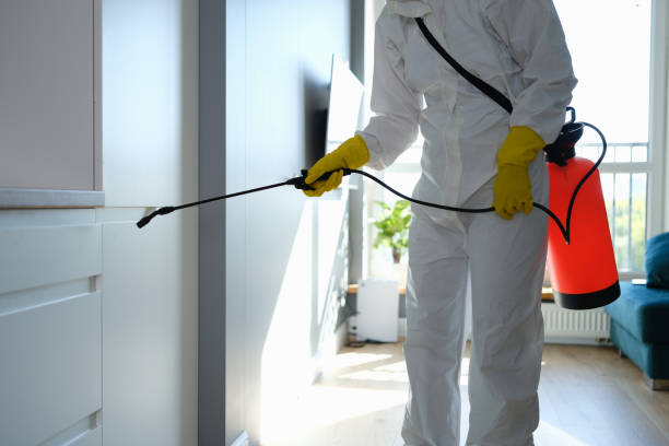 Best Affordable Mold Removal  in Estancia, NM