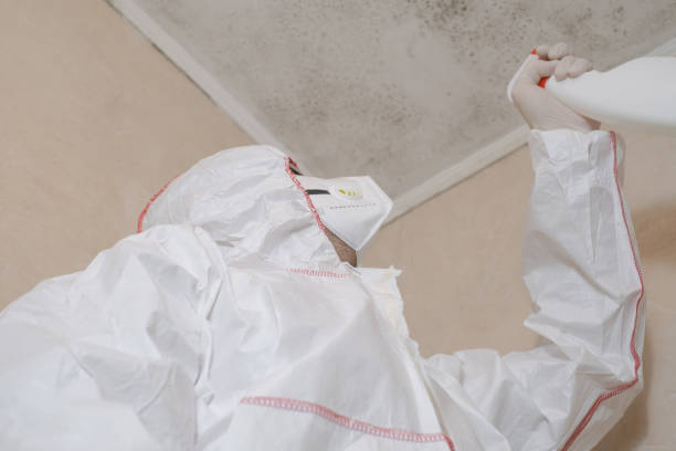 Best Crawl Space Mold Removal  in Estancia, NM